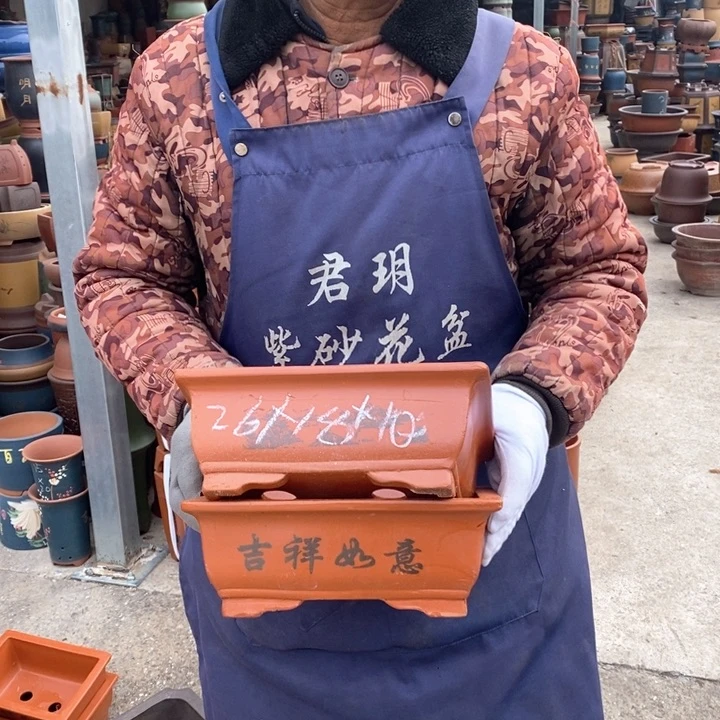 紫砂花盆紫砂花盆