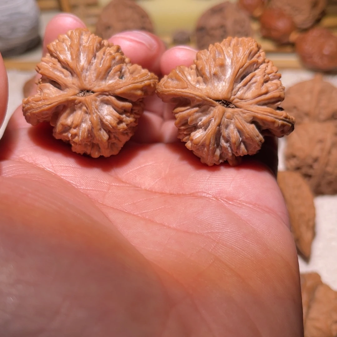 中***^文玩核桃把件堂虎