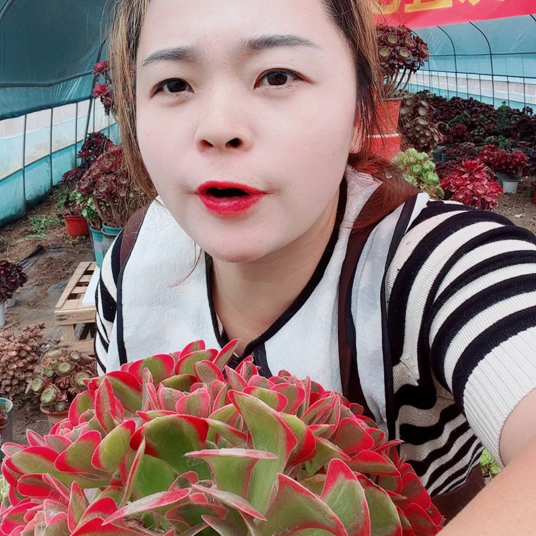 精品粉女朗一颗18一颗