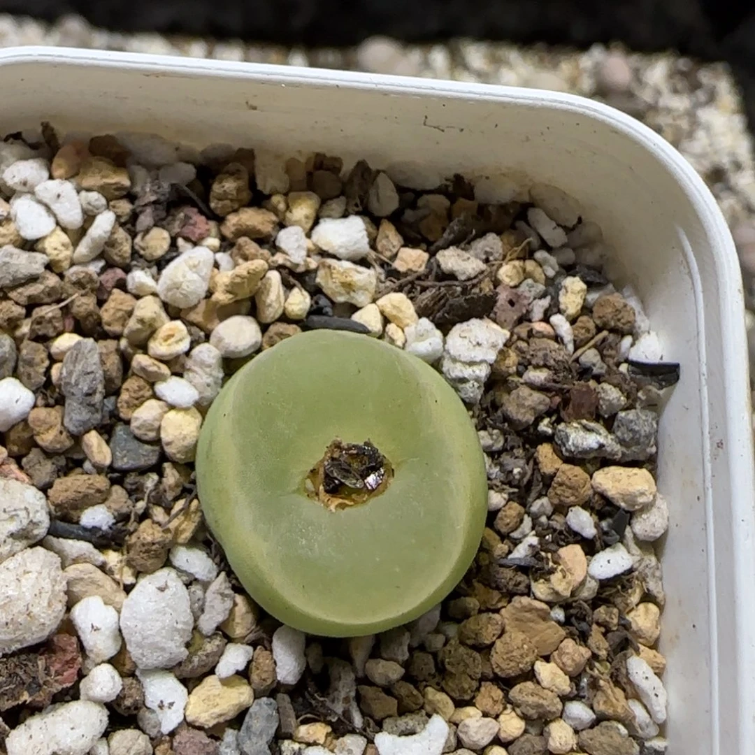 11.29。脱土发。哦泡。 2069