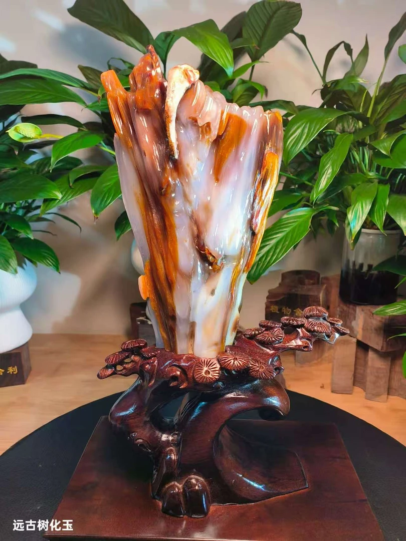 远古树化玉缅甸天然树化玉奇石摆件树化石木化玉玄关场景玉石摆件