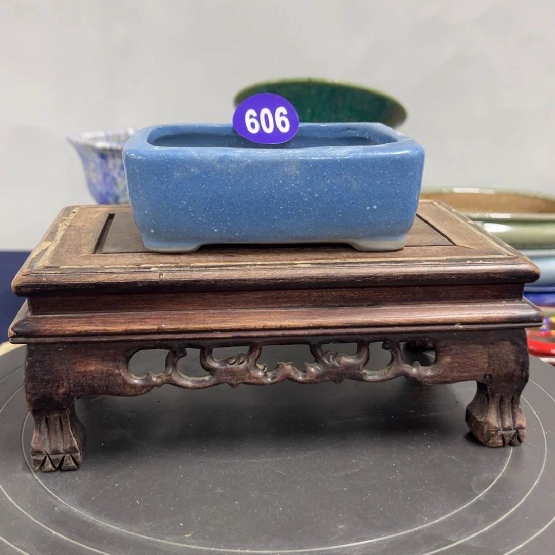 红陶F*新年快乐啊606