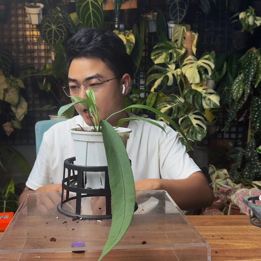 何***林无花朵一物一拍P165