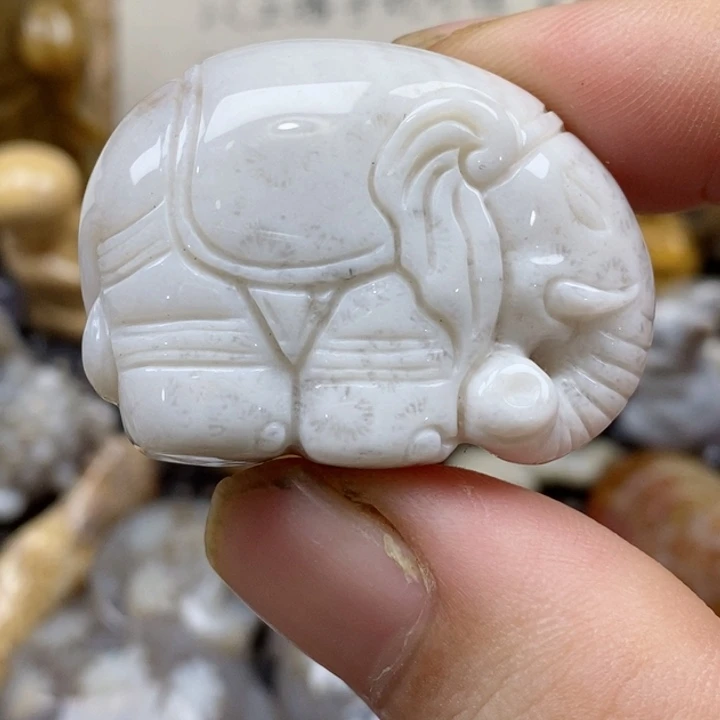 颈饰未镶嵌硅化珊瑚（珊瑚玉）