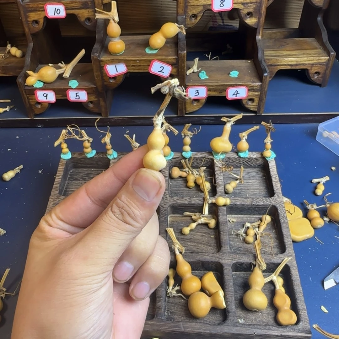 ?*木我是一只小小鸟地域鬼的人生