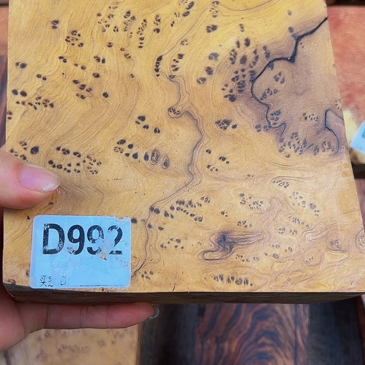 木人***O鬼柳尖叶木栖榄