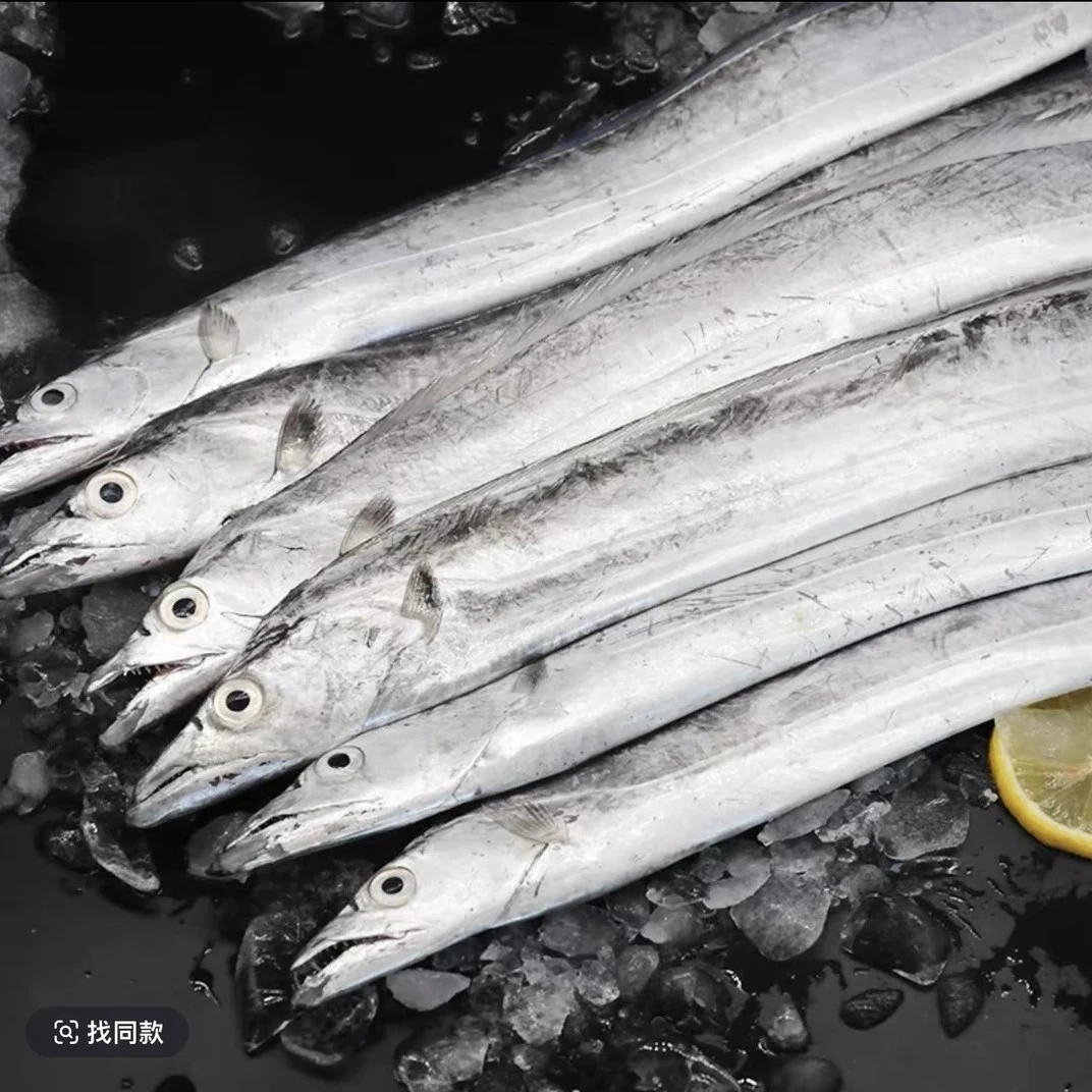 【京东包邮】(500-700)整条带鱼新鲜舟山新鲜冷冻海鲜水产