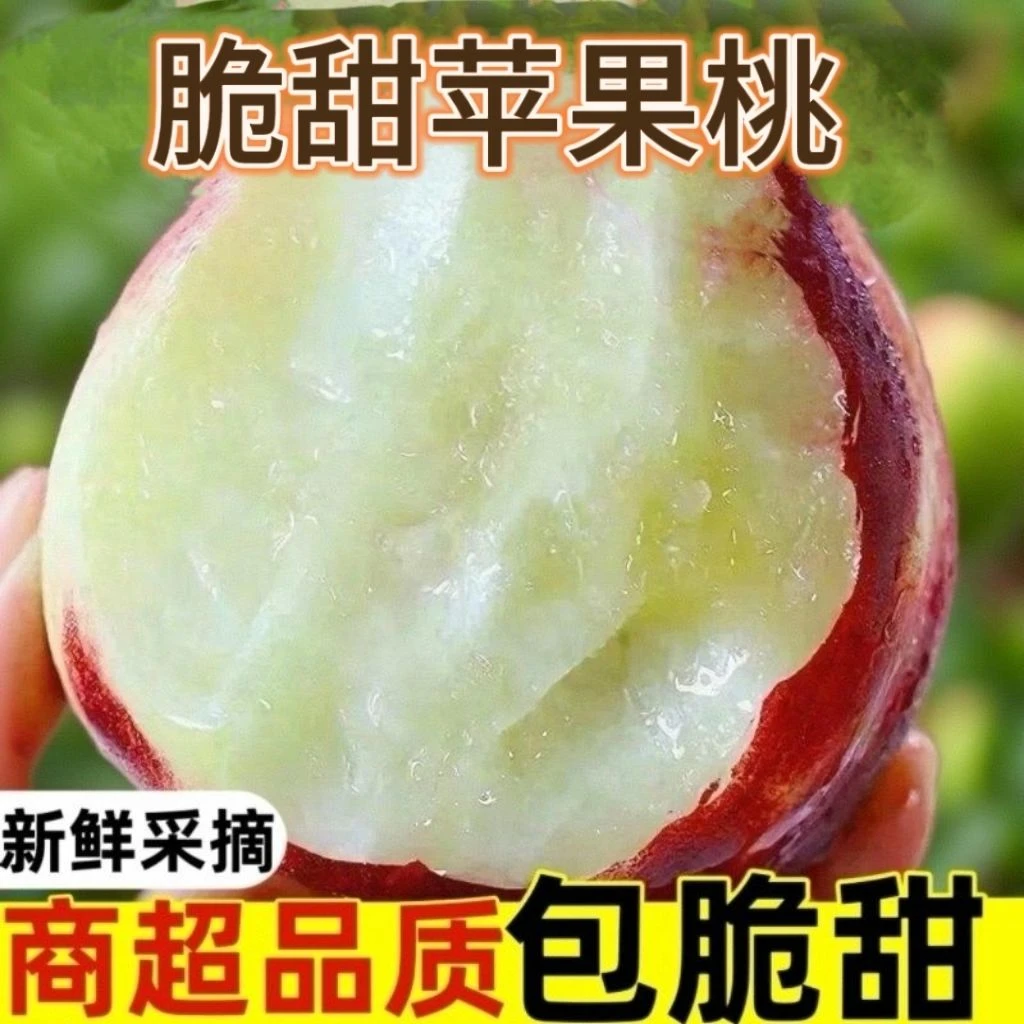 2025年新鲜苹果白肉油桃脆甜应季水果1/5斤包邮