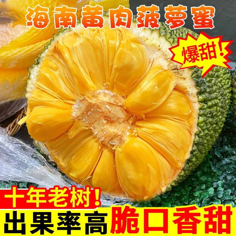 海南三亚菠萝蜜新鲜水果波罗蜜当季特产一整个整箱包邮