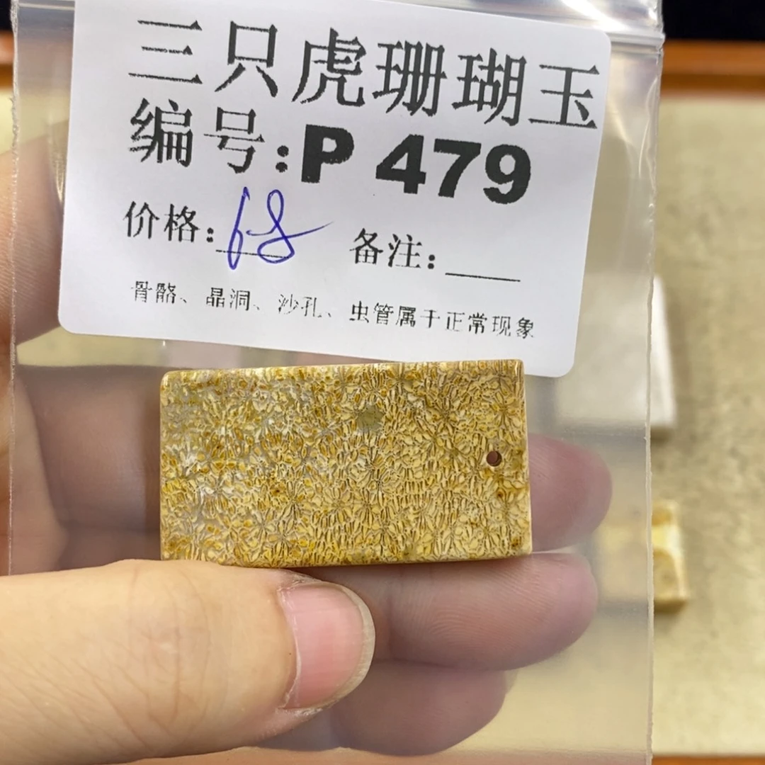 硅化珊瑚（珊瑚玉）1未镶嵌反***王