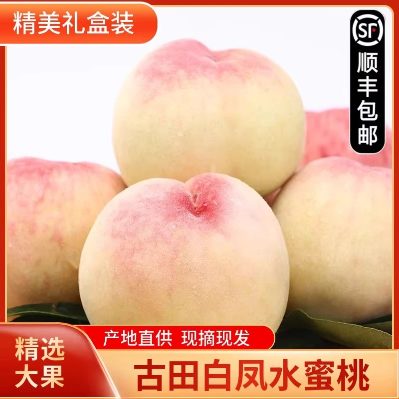 正宗古田高山生态官州新鲜应季爆甜多汁白凤水蜜桃5斤礼箱装
