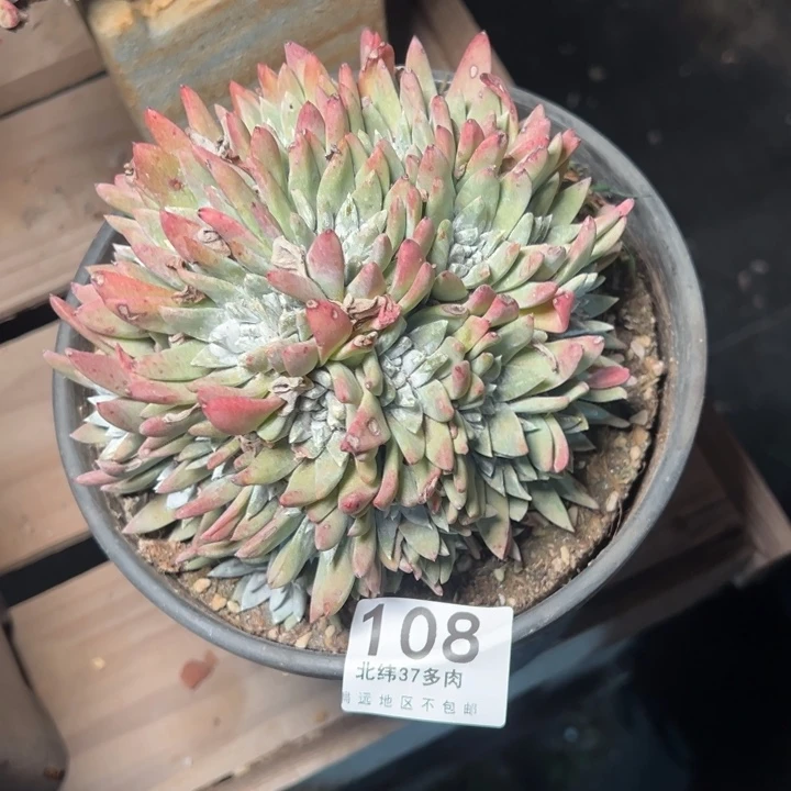 雨****兔108哈哈哈哈哈哈哈哈哈