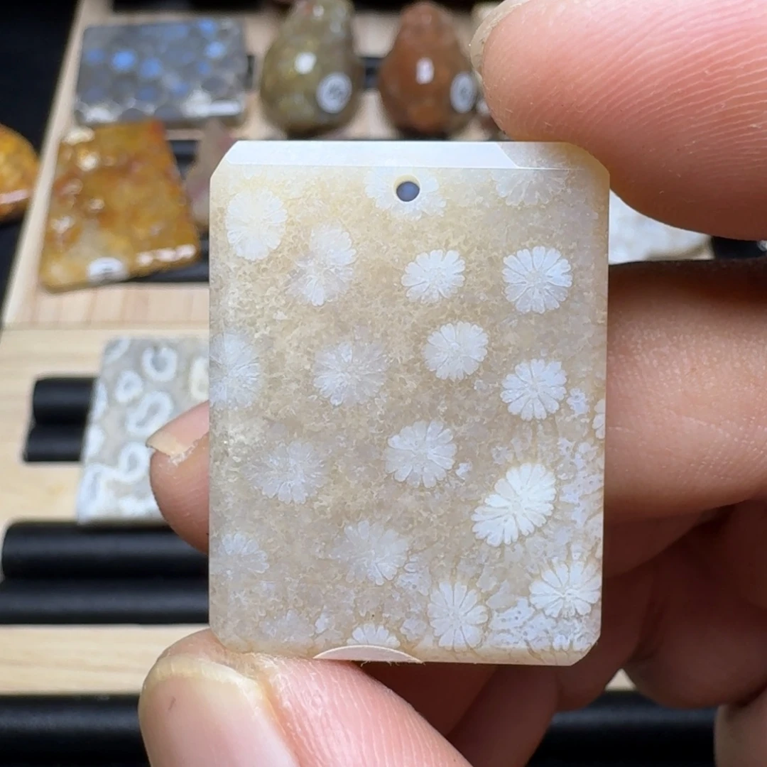 未镶嵌纯天然色有机玉石保真色硅化玉