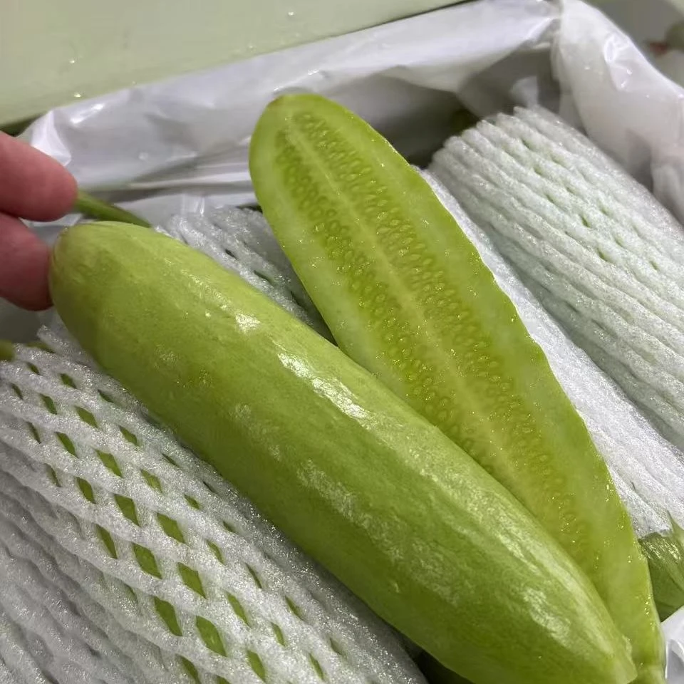 奶油黄瓜35元一件毛重2斤8两左右