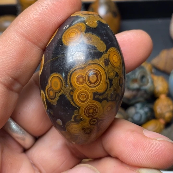 石材九眼石页岩钱币石23