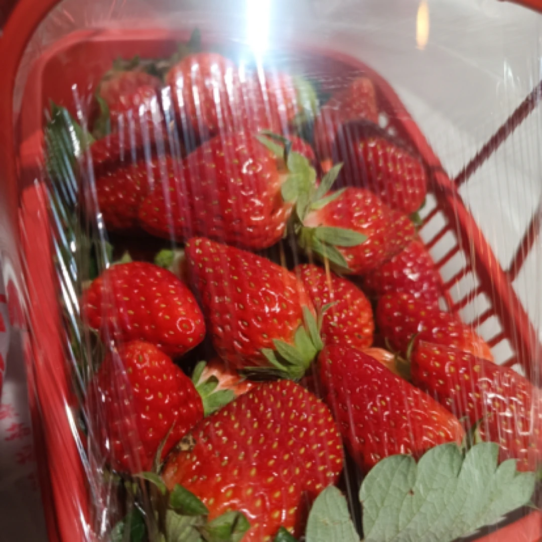 本地红颜草莓20一篮一斤装