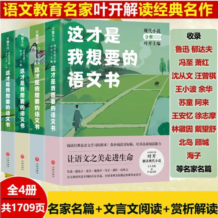这才是我想要的语文书全4册叶开语文课写作课学生课外阅读图书籍