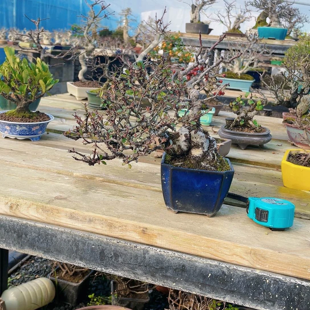 花花花花花花花花花静****F花花花花花花花花花花花