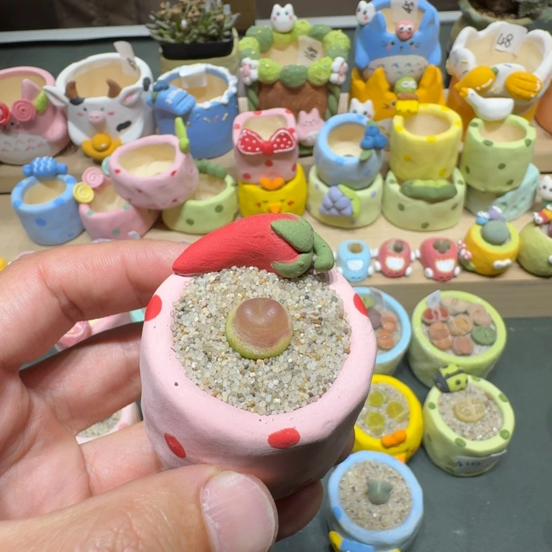 红陶寻*蘑菇449拉登