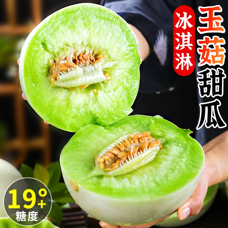 精品玉菇甜瓜皮薄肉厚一口飚汁超满足应季玉菇甜瓜瓤少肉多