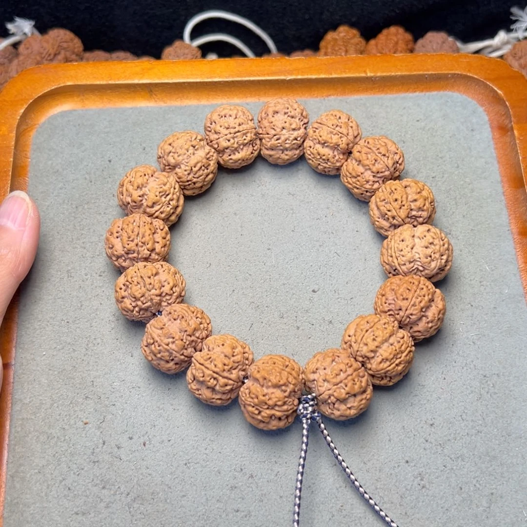 菩提12号金刚菩提梅花豆腐块23头货