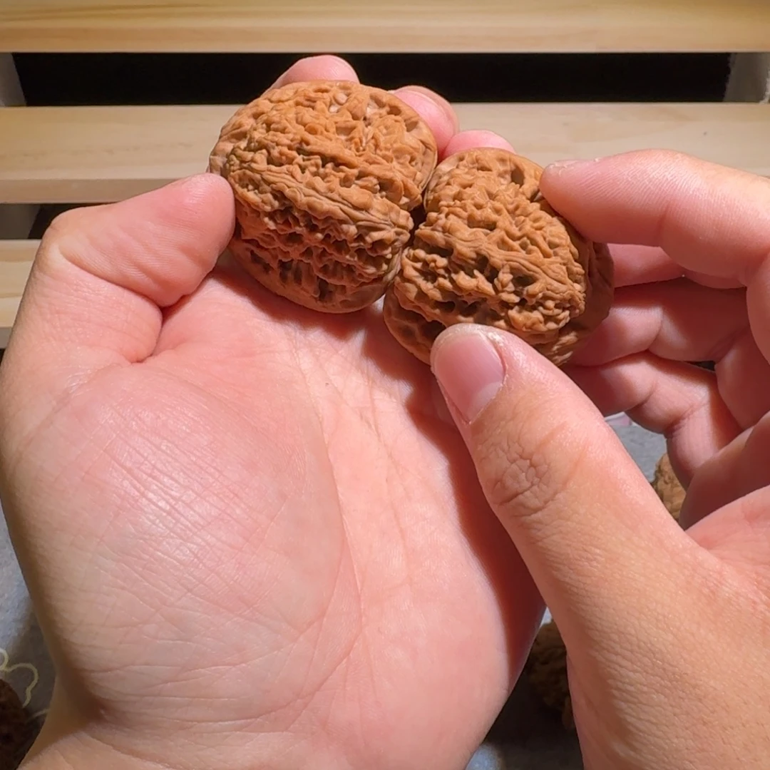 大叶紫檀（黑酸枝木类）