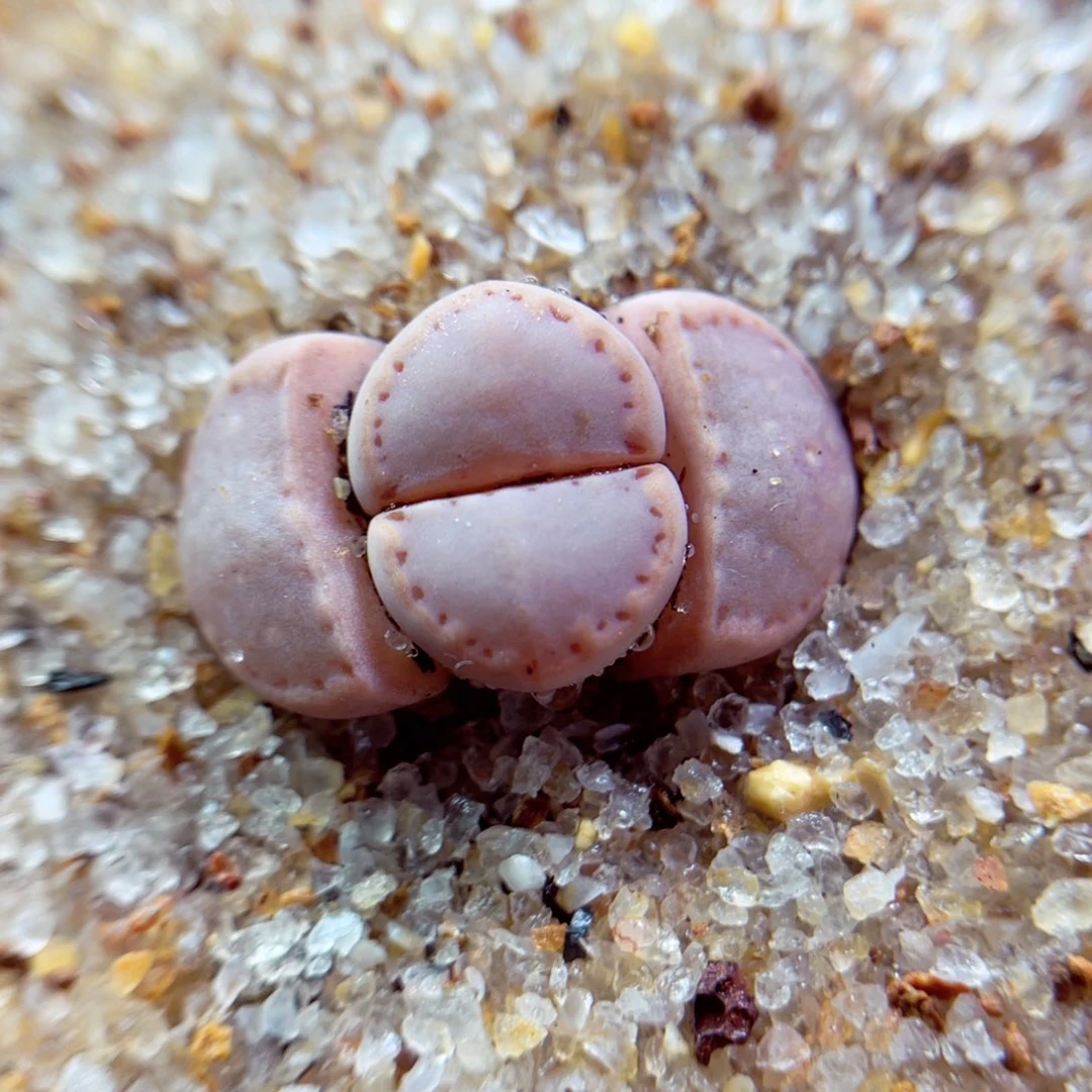 227。8888888588888888888