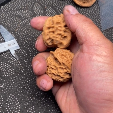 文玩核桃把件苹果5.5