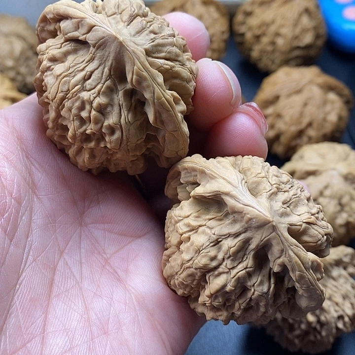 龙脊菩提吊坠官帽50