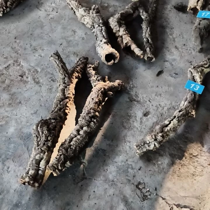 顺顺利利，平平安安