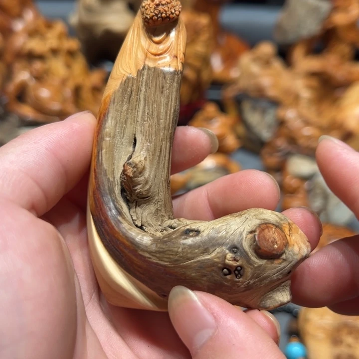 柏木（崖柏）点点关注