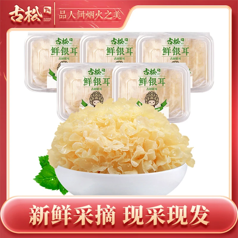 【古松】福建古田盒装新鲜银耳现采现发