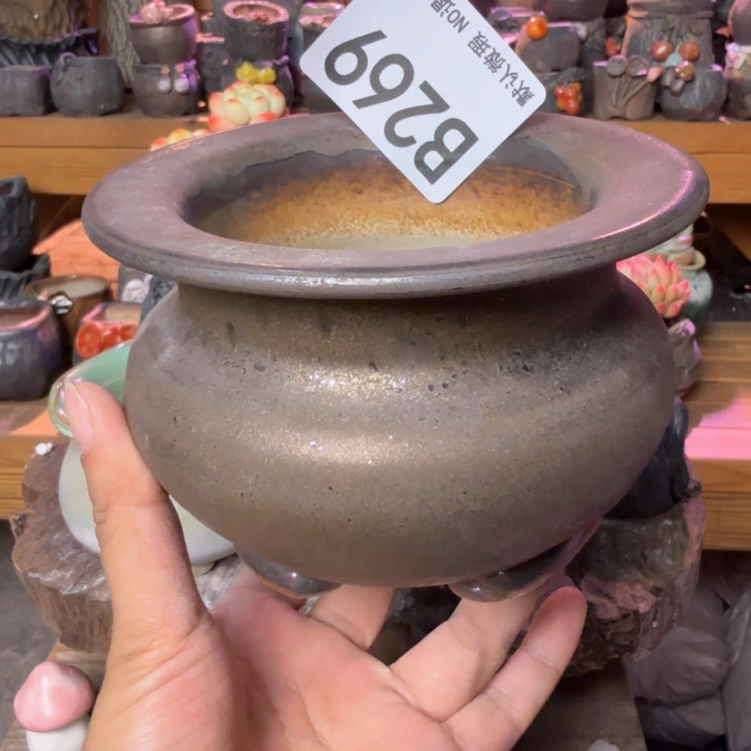 露***吟重庆小燕子欢迎大家269