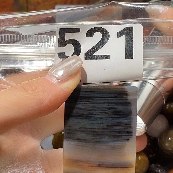 硅化玉未镶嵌天然北票树化玉吊坠