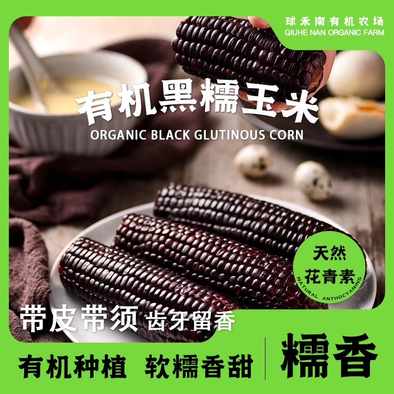 【有机黑糯玉米】无农残黑糯玉米口感甜糯拉丝带皮带须真空包装6根