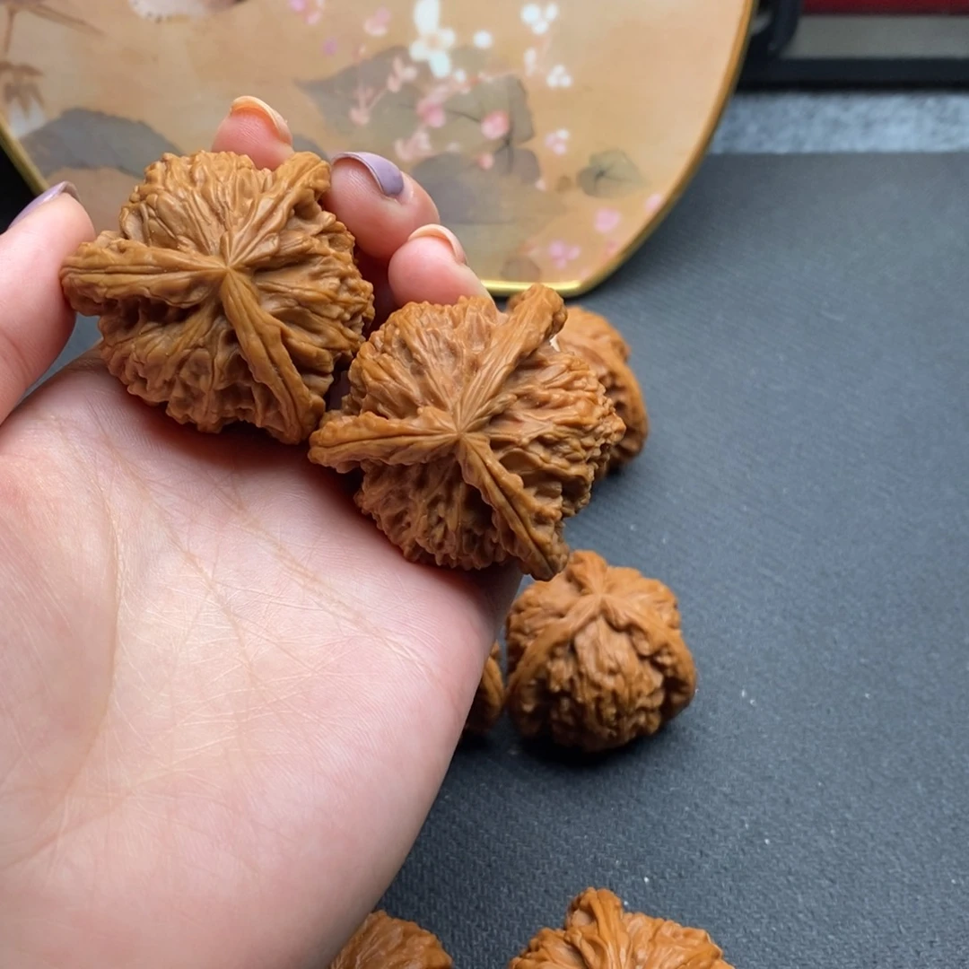 飛*白狮子111111111111