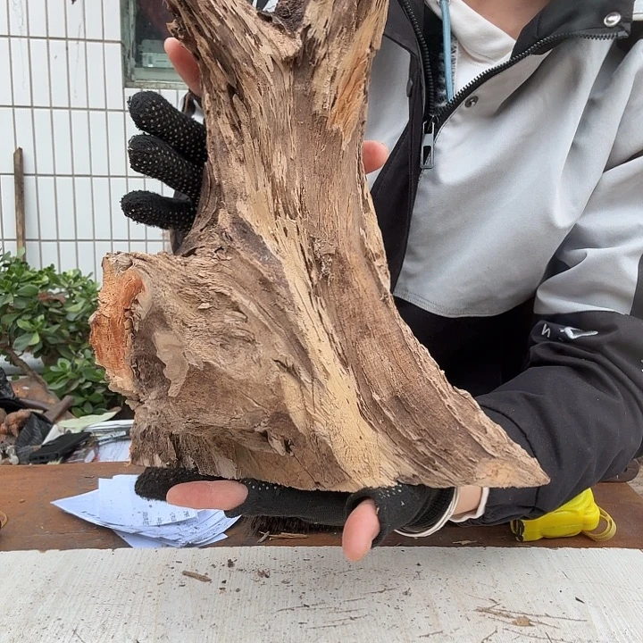万***苏木太行崖柏摆件摆件