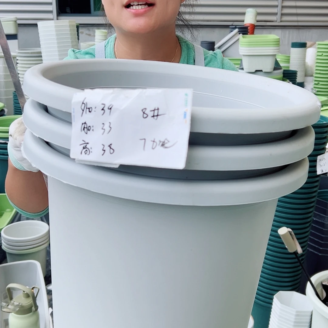 四季盆8#灰白色3个无托