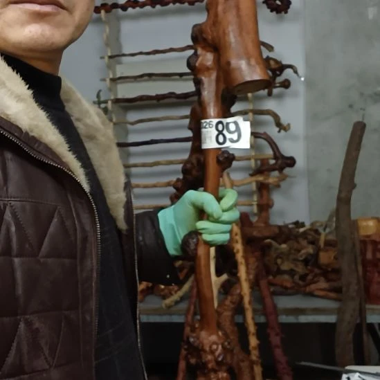 假***紫香榧木高山 檬子木文玩料