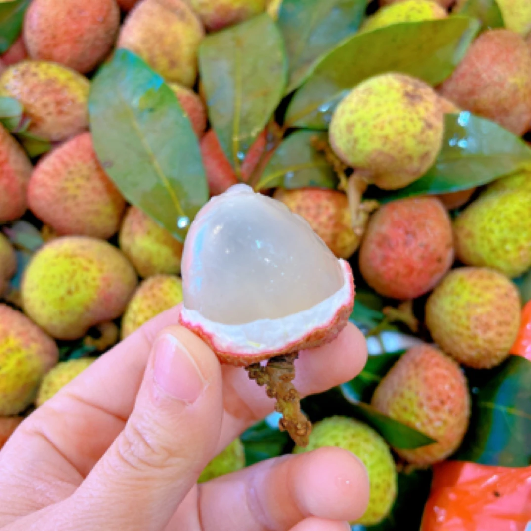 桂花香荔枝15.8一斤 纯甜云南省