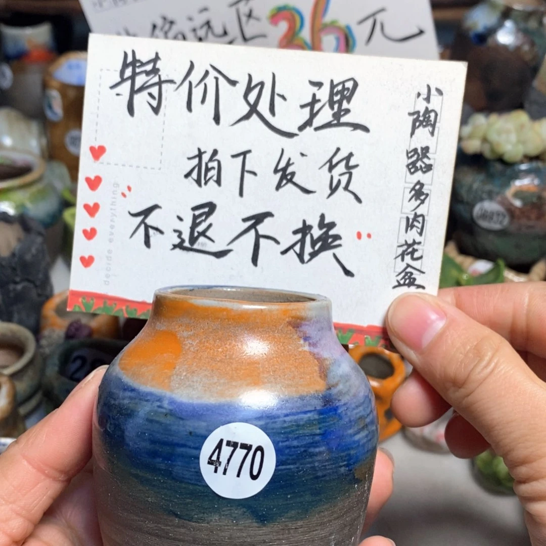 特价处理不退不换原价28元花盆