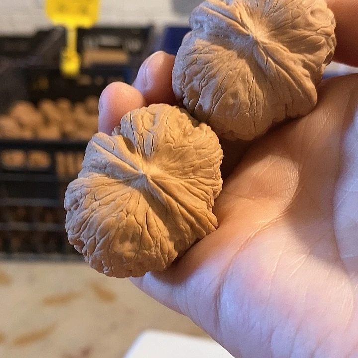 核桃手串/手链平谷元宝