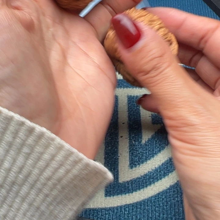 桃核吊坠文玩泥鳅背