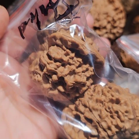 观***•文玩核桃吊坠53龙鼎管