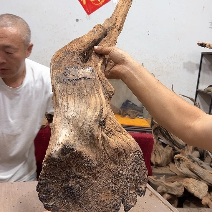 柏木呆*呗我们的生活是以自己为主