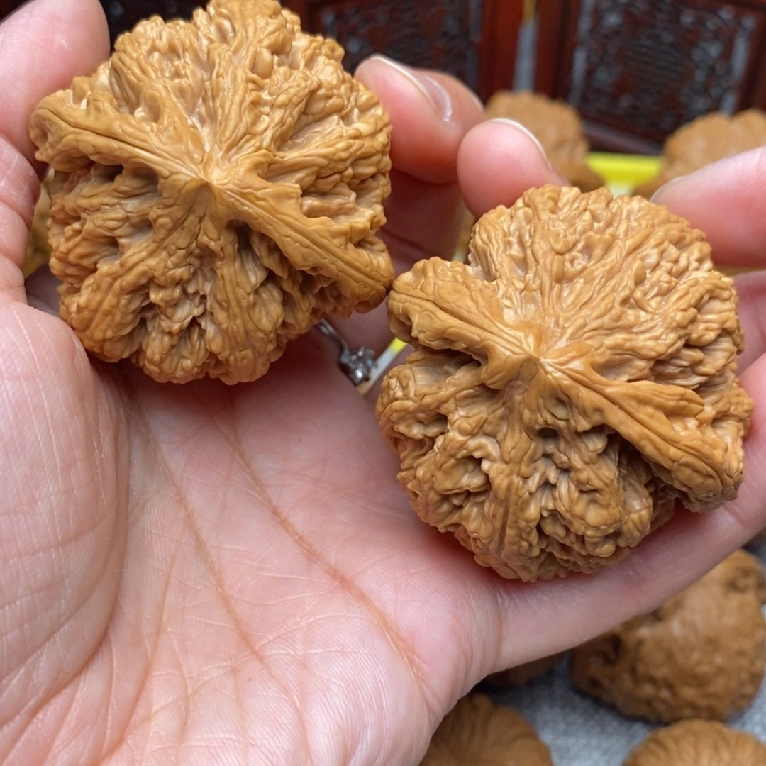 文玩核桃把件毕业绝配粗筋47尺63克