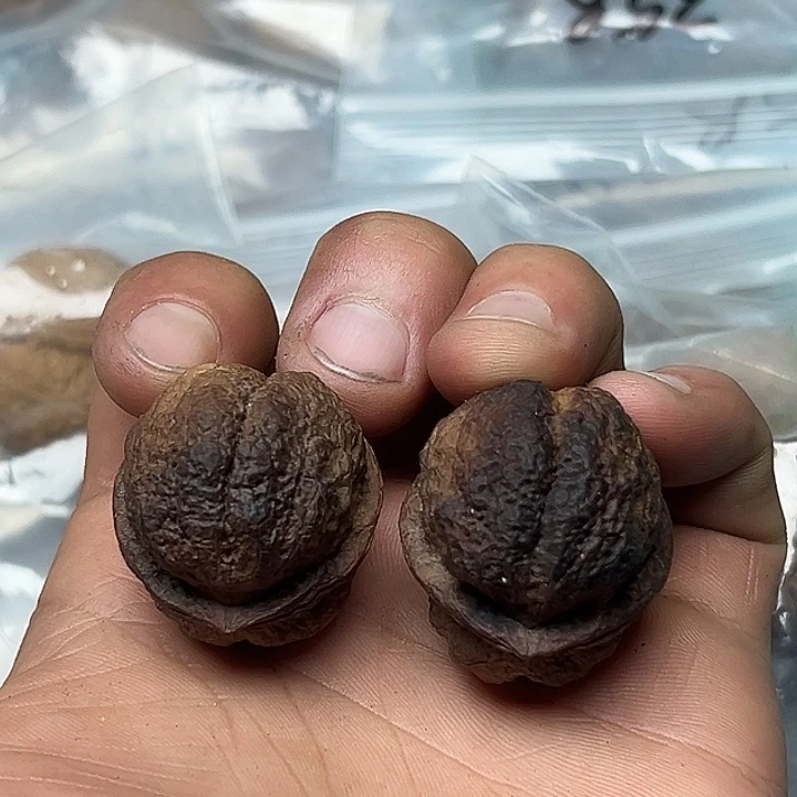 吊坠文玩核桃小蝴蝶蟾