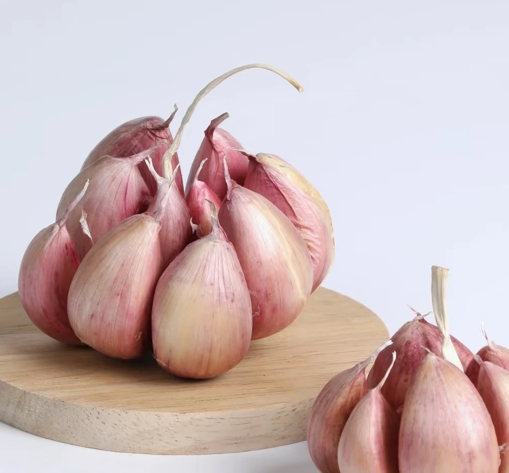 红皮蒜 300g/份