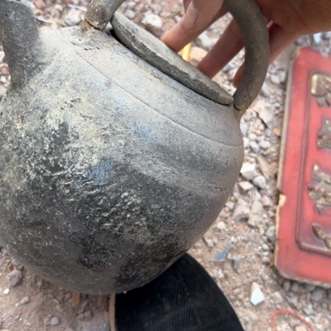 核桃木/黑胡桃（胡桃木）刺*