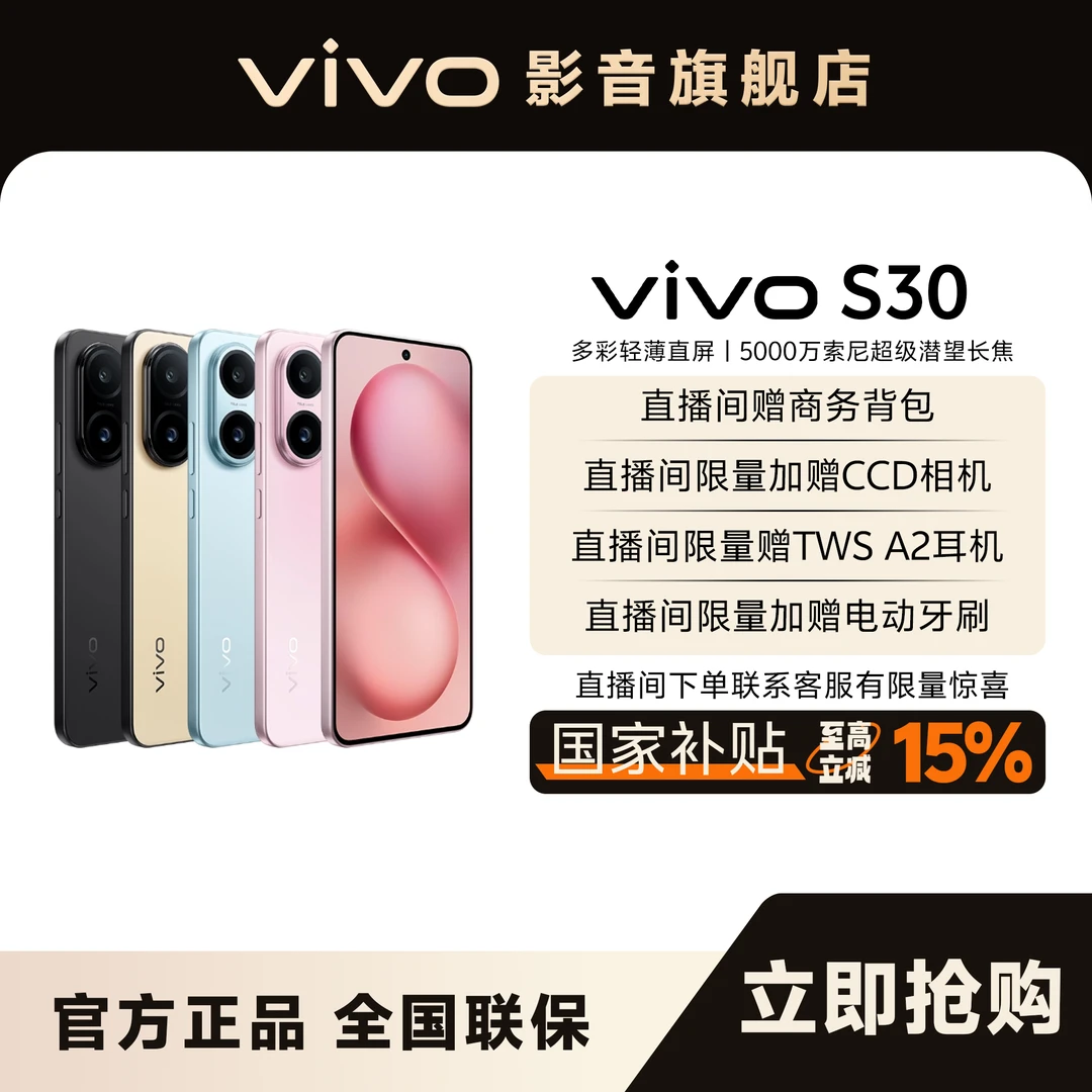 【国家补贴】vivo S30   512 多彩小直屏-地方补贴